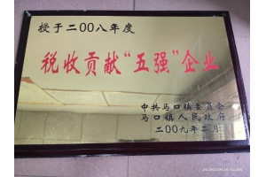 2008年度税收贡献五强