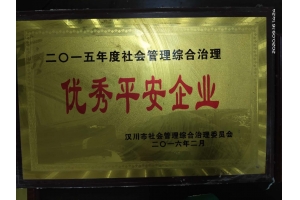 优秀平安企业
