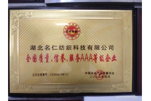 3AAA企业