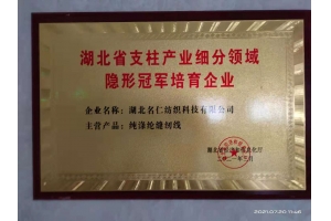 生产项目单项“隐形冠军企业”