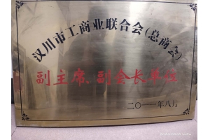 商会副主席副会长单位